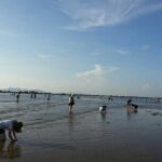 Private Day Tour to Yangjiang Beach from Guangzhou - Final Thoughts