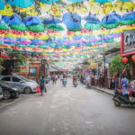Private Day Trip Discover Van Phuc Silk,Duong Lam Ancient Village - Detailed Review of the Tour Experience