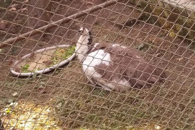 Private Day Trip To Central Zoo At Jawalakhel, Kathmandu - The Aquarium and Bird Showcases