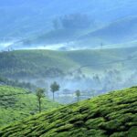 Private Day Trip to Munnar from Kochi (Cochin) - What We Love (and What to Consider)