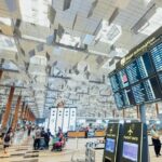 Private Departure Transfer : Tokyo Disney Resort to Narita International Airport - The Experience: What You Can Expect