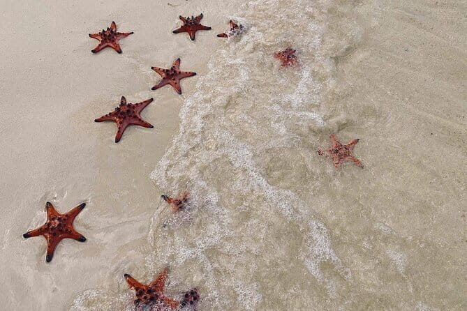 PRIVATE Discover Phu Quoc Local life and Starfish Beach & Lunch - FAQs