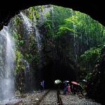 Private Dudhsagar waterfalls & Spice Plantation with Lunch from Mormugao Port - Practical Details and What to Expect
