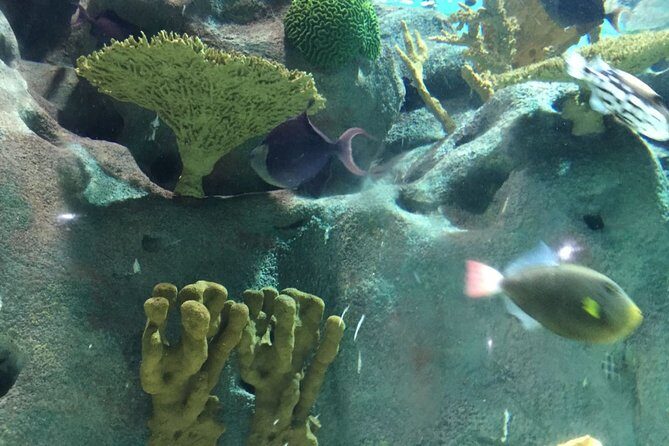 Private Family Day Tour in Guangzhou to Grandview Aquarium and Guangzhou Zoo - What’s Included and What You Should Know
