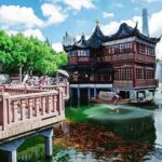 Private Flexible Shanghai Layover Tour with Street Food and Dumpling Tasting - Who Is This Tour Best For?