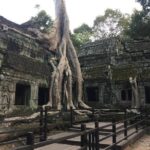 Private Full day Angkor Sunset by Bike - What We Like About This Tour