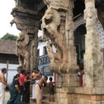 Private Full-Day Guided Tour of Thiruvananthapuram - What You Should Know About the Tour
