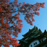 Private Full Day Nagoya Tour - FAQ