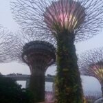 Private Full Day Singapore Highlights from Cruise Ship - Practical Aspects of the Tour