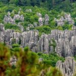 Private Full-Day Tour from Kunming: Stone Forest and Golden Temple - Who Would Enjoy This Tour?