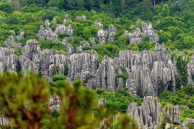 Private Full-Day Tour from Kunming: Stone Forest and Golden Temple - Who Would Enjoy This Tour?