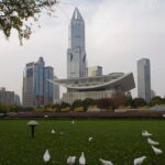 Private Full-Day Tour of Shanghai with Dim-sum Lunch - Practicalities and Insights