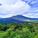 Private Full Day Tour Tirta Empul Temple And Batur Volcano - What Travelers Say About This Tour