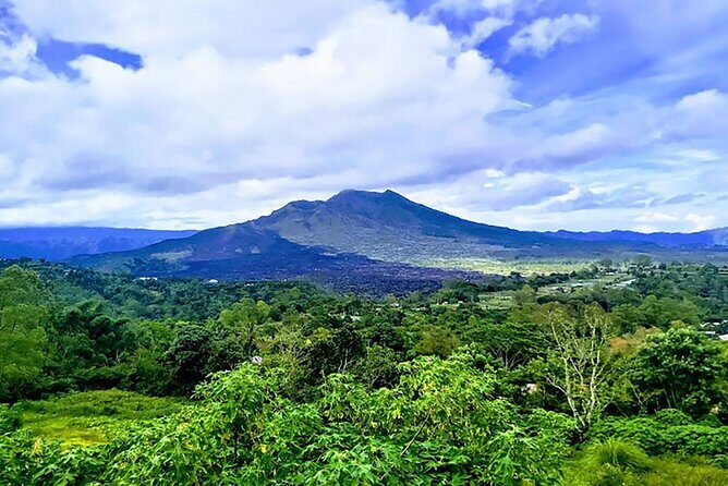 Private Full Day Tour Tirta Empul Temple And Batur Volcano - What Travelers Say About This Tour