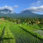 Private Full Day-Tour: UNESCO World Heritage Sites in Bali - Authentic Details from Experience