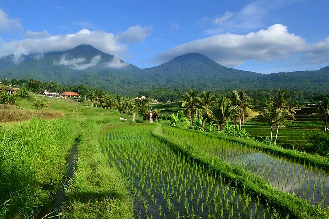 Private Full Day-Tour: UNESCO World Heritage Sites in Bali - Authentic Details from Experience