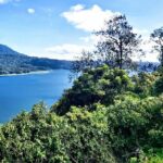 Private Full Day Trip Lovina Watching Dolphins and Wanagiri - In-Depth Look at the Day
