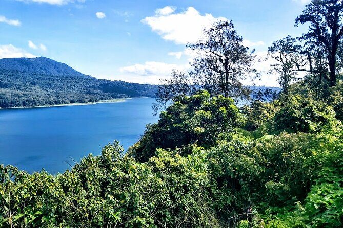 Private Full Day Trip Lovina Watching Dolphins and Wanagiri - In-Depth Look at the Day