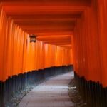 Private Fushimi Inari sightseeing and Nishiki Food Tour - Authentic Experiences and Practical Insights