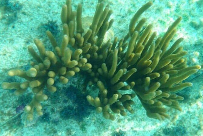 Private Glass Bottom Boat Ride in Trincomalee Beach Colombo - Final Thoughts: Who Should Consider This Tour?