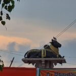 Private Guided City Tour in India - Authentic Experiences and Local Insights
