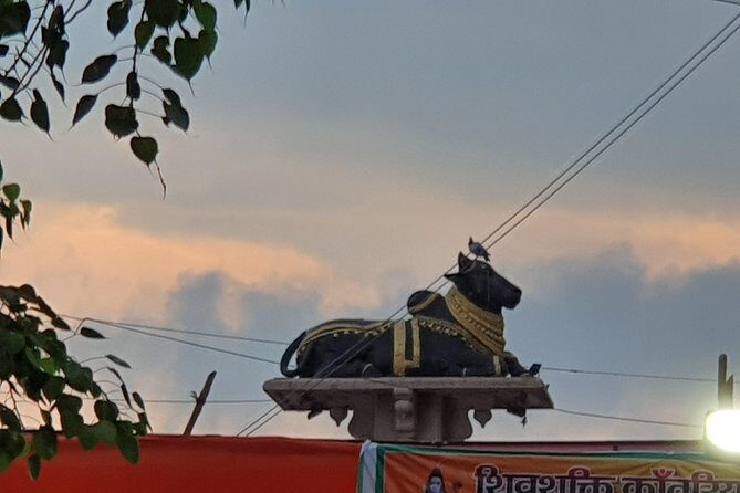 Private Guided City Tour in India - Authentic Experiences and Local Insights