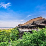 Private Guided Day Tour of Kyoto - Practical Details That Matter