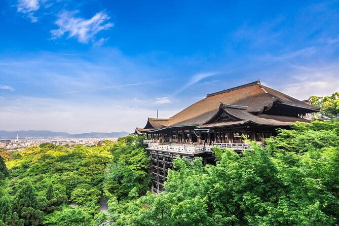 Private Guided Day Tour of Kyoto - Practical Details That Matter