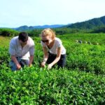 Private Guided Tour: A Spring Day in Dong Giang from Da Nang - Final Thoughts