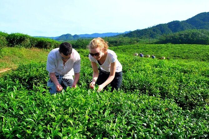Private Guided Tour: A Spring Day in Dong Giang from Da Nang - Final Thoughts