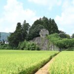 Private Guided Tour at Daruma Rock Scenic Course - Who is this tour best for?