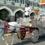 Private Half-Day City Tour of Mumbai - Transportation and Logistics