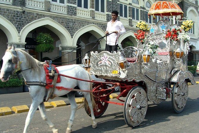 Private Half-Day City Tour of Mumbai - Transportation and Logistics
