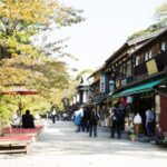 Private Half-Day Kanazawa Walking Tour and Historical Photo Spot - What This Tour Means for You
