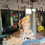 Private Half-Day Nha Trang Cultural Tour Explore Countryside Life - What Travelers Say