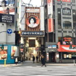 Private Half-Day Osaka Kita Guided Tour - Authentic Insights from Reviews