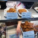 Private Hayama Tour with Certified Guide- Local Culture&Food - FAQs About the Hayama Private Tour