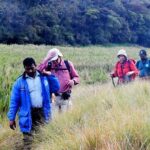 Private Hiking tour to Kirigalpoththa Mountain via Horton Plains - An In-Depth Look at the Kirigalpoththa Hiking Experience