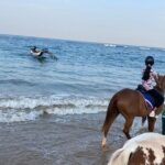 Private Horse Riding in Mount Lavinia - Who Will Enjoy This Tour?