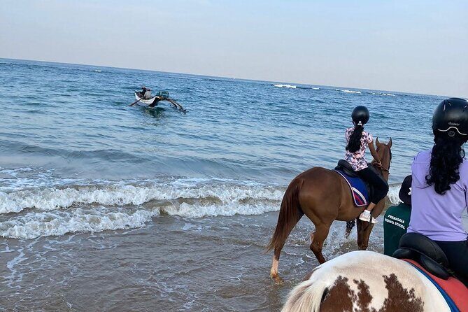 Private Horse Riding in Mount Lavinia - Who Will Enjoy This Tour?