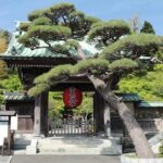 Private Kamakura Enoshima Tour from Tokyo w/ pickup & local guide - What Travelers Love—and What To Consider