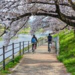 Private Kamigamo River Electric Bike Tour - An In-Depth Look at the Kyoto Electric Bike Tour