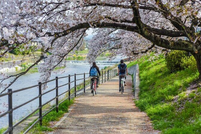 Private Kamigamo River Electric Bike Tour - An In-Depth Look at the Kyoto Electric Bike Tour