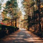Private Karuizawa, Nagano Tour - Bilingual Chauffeur - Authentic Traveler Insights from Reviews