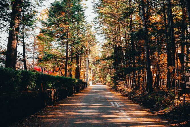 Private Karuizawa, Nagano Tour - Bilingual Chauffeur - Authentic Traveler Insights from Reviews