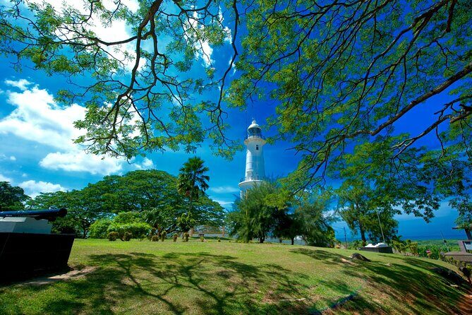 Private Kuala Selangor Firefly Day Trip from Kuala Lumpur - Final Thoughts