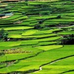 Private Layover Tour to Tianluokeng Tulou from Xiamen Airport or Cruise Port - The Sum Up