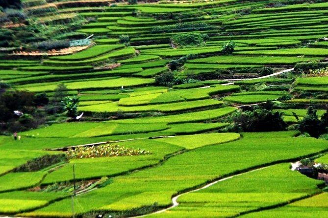 Private Layover Tour to Tianluokeng Tulou from Xiamen Airport or Cruise Port - The Sum Up