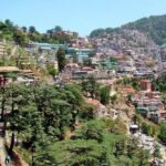 Private Manali tour with Trekking from Delhi - An In-Depth Review of the Tour Experience
