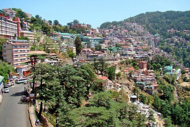 Private Manali tour with Trekking from Delhi - An In-Depth Review of the Tour Experience